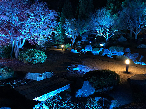 ライトアップ・イルミネーション